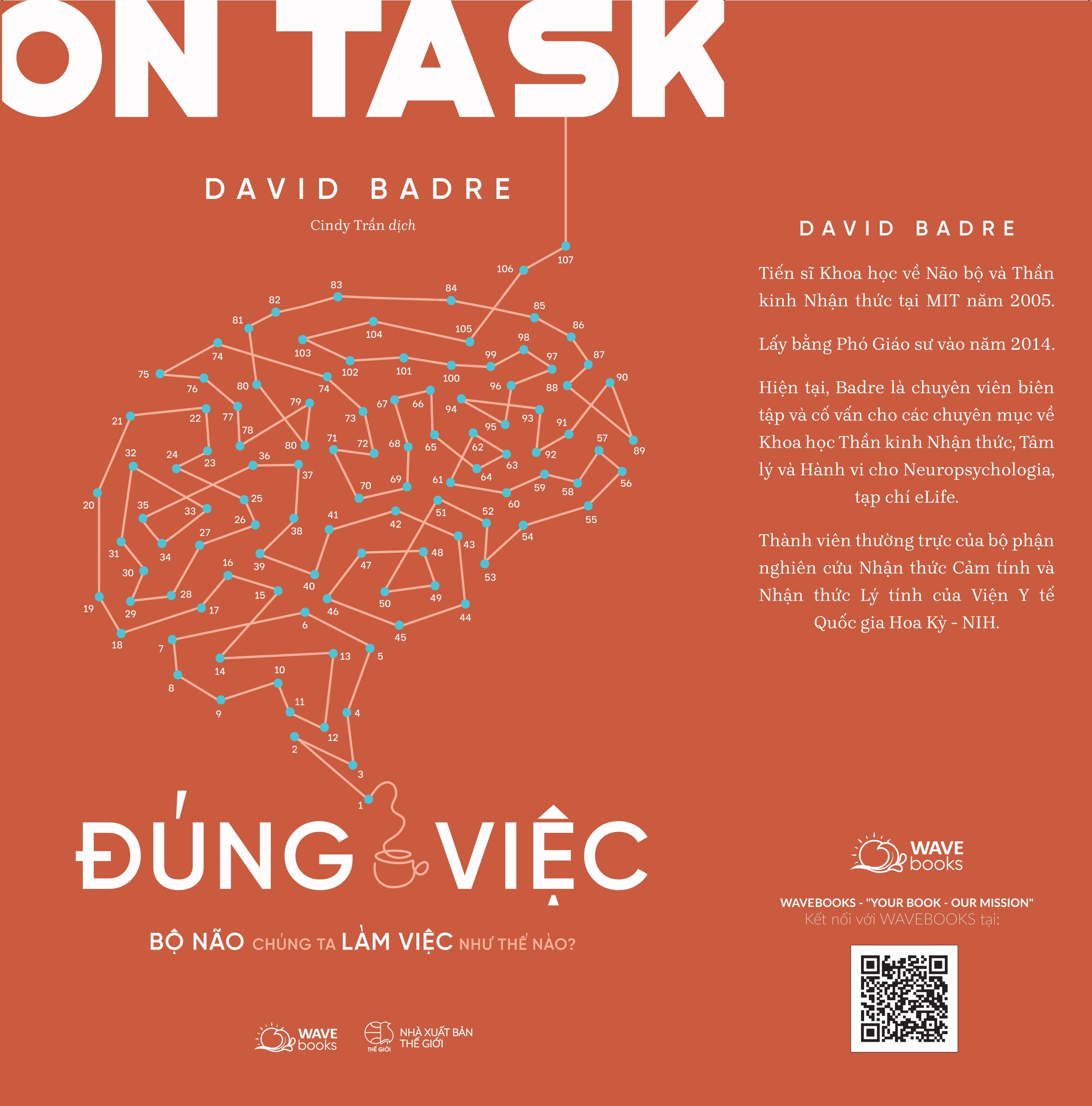 on task - đúng việc - bộ não chúng ta làm việc như thế nào? - Ảnh 3