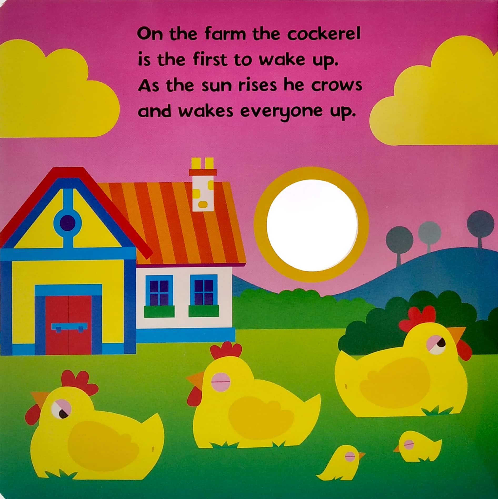 on the farm - Ảnh 3