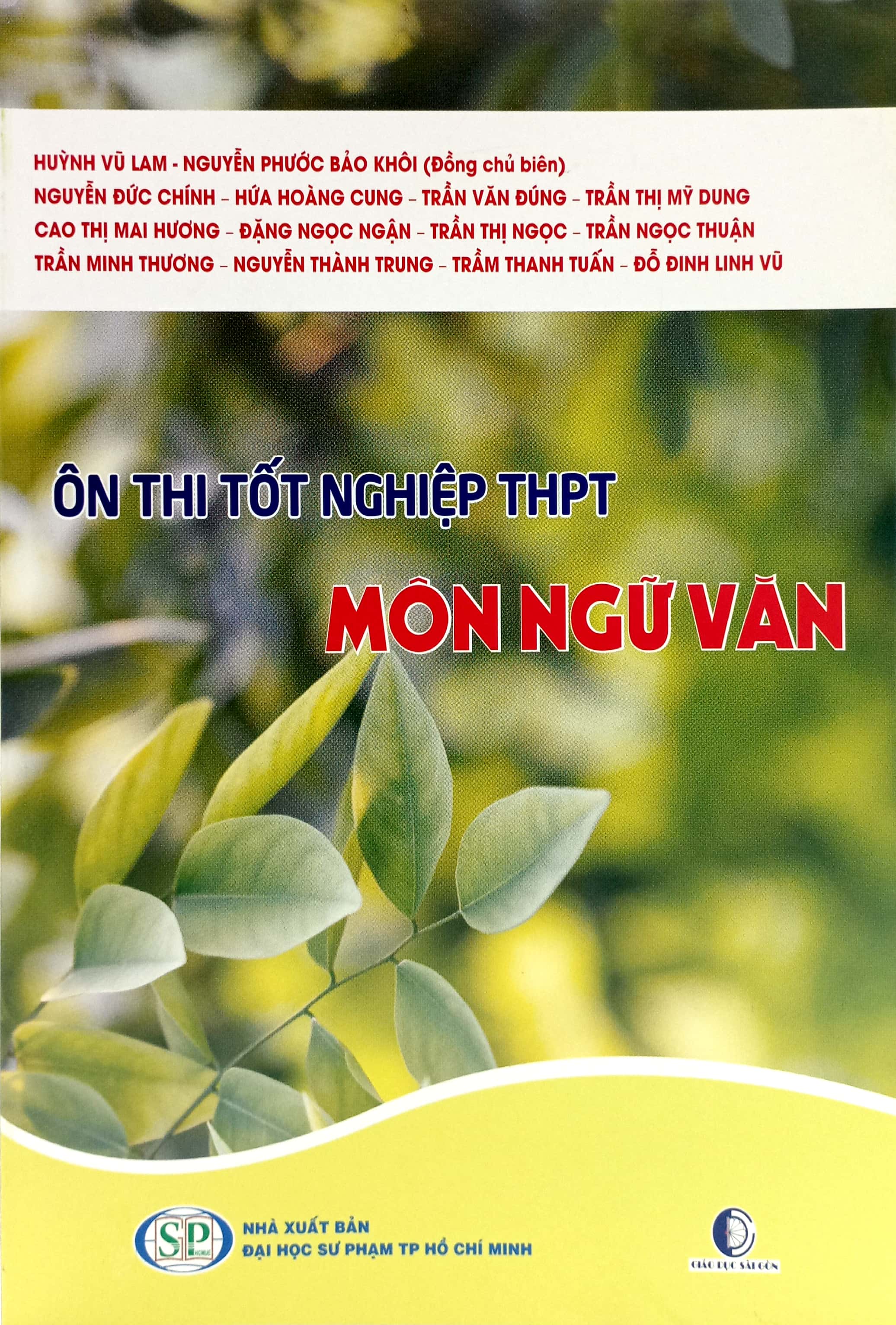 ôn thi tốt nghiệp thpt môn ngữ văn - Ảnh 2