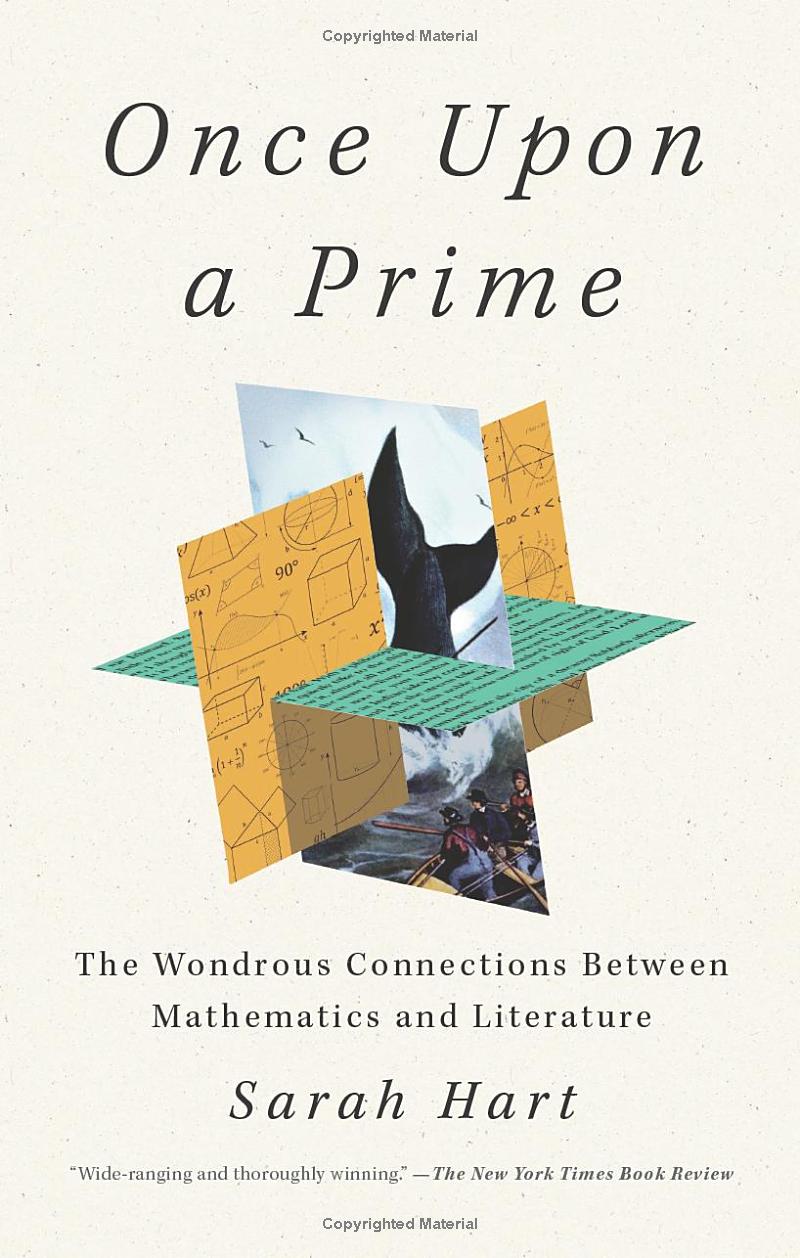 once upon a prime - Ảnh 2