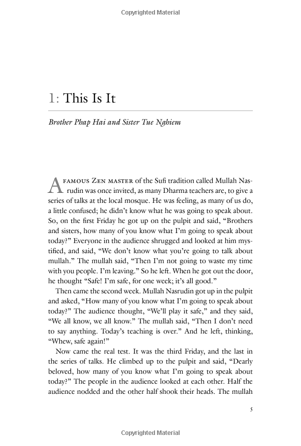 one buddha is not enough: a story of collective awakening - Ảnh 10