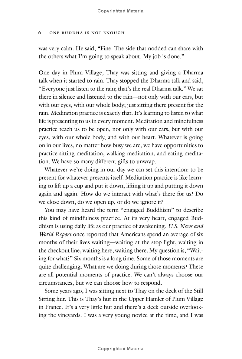 one buddha is not enough: a story of collective awakening - Ảnh 11