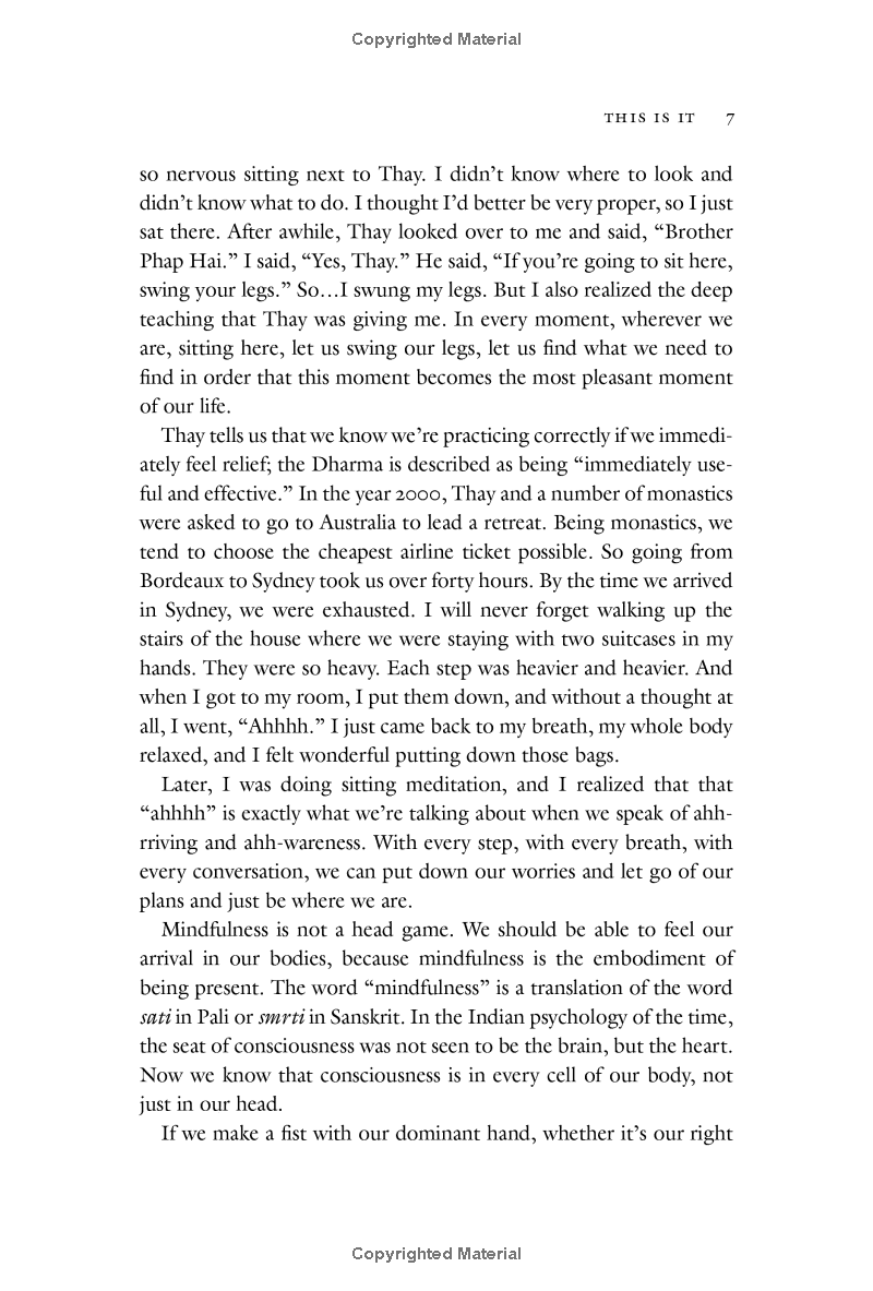 one buddha is not enough: a story of collective awakening - Ảnh 12