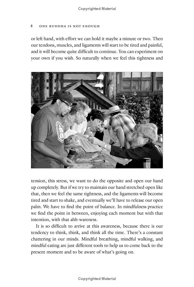 one buddha is not enough: a story of collective awakening - Ảnh 13