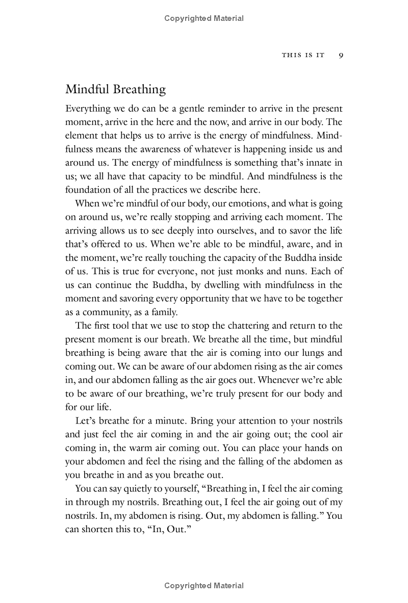 one buddha is not enough: a story of collective awakening - Ảnh 14