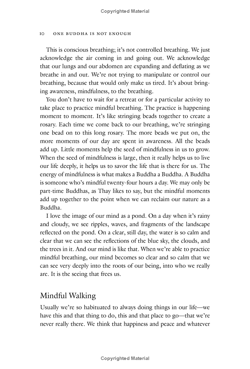 one buddha is not enough: a story of collective awakening - Ảnh 15