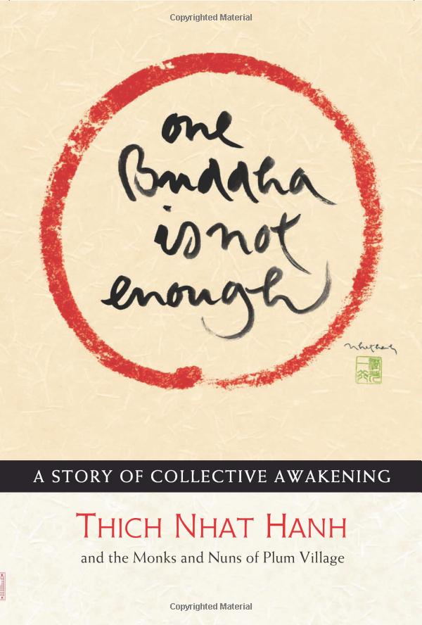 one buddha is not enough: a story of collective awakening - Ảnh 2