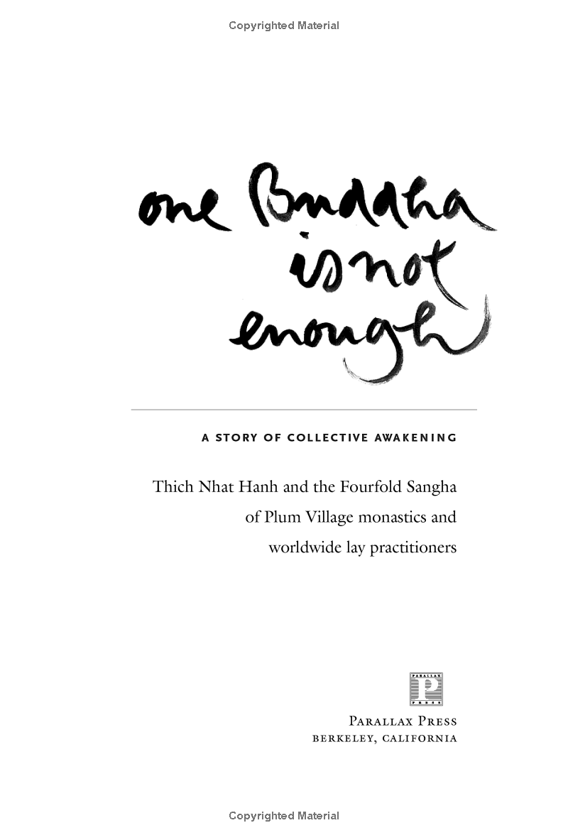 one buddha is not enough: a story of collective awakening - Ảnh 4
