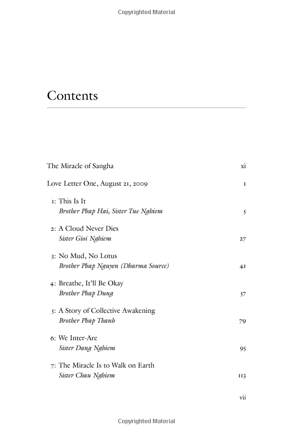 one buddha is not enough: a story of collective awakening - Ảnh 6