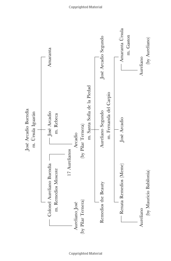 one hundred years of solitude (harper perennial modern classics) - Ảnh 6