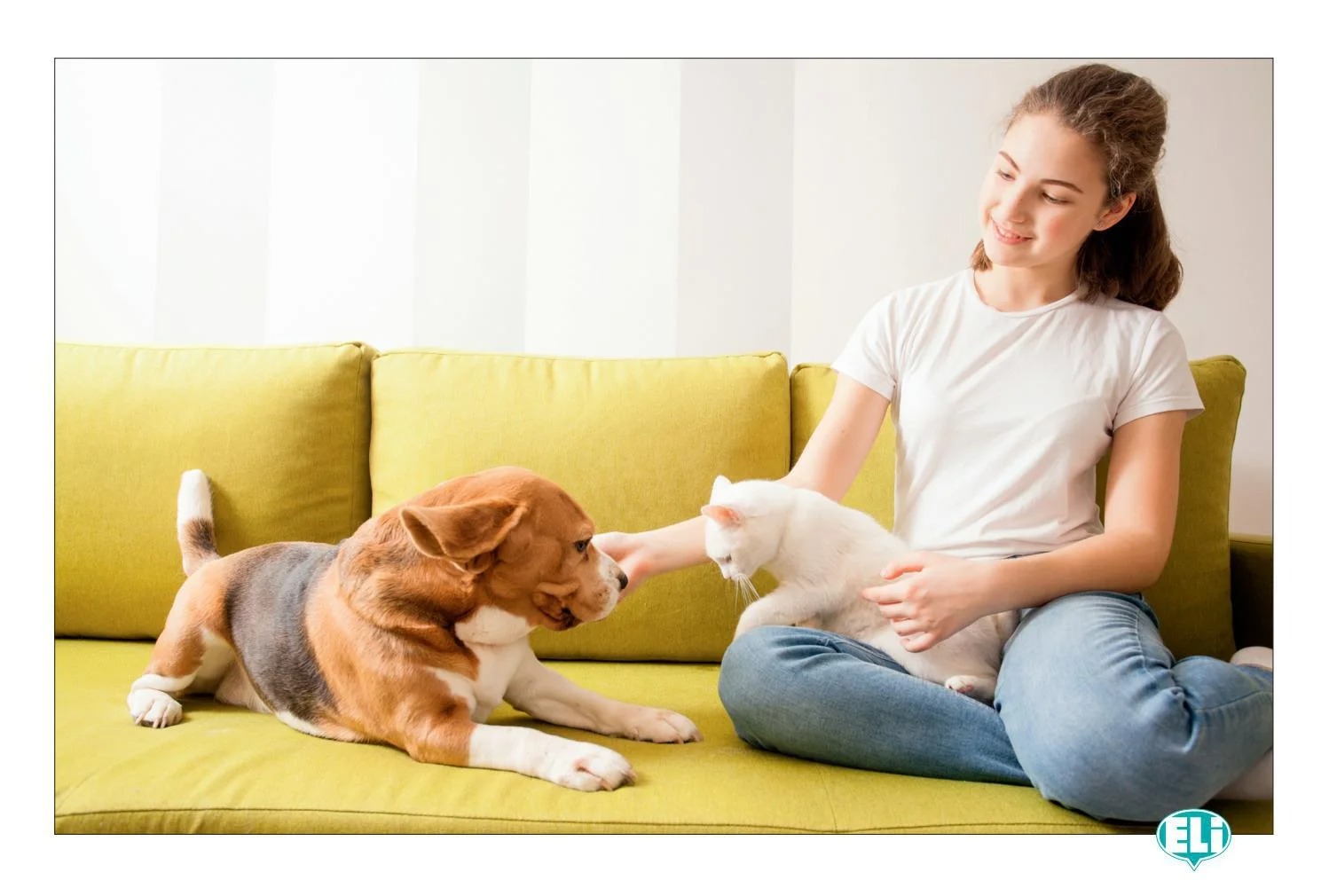 one photo, a thousand words - speaking english with pictures - Ảnh 5