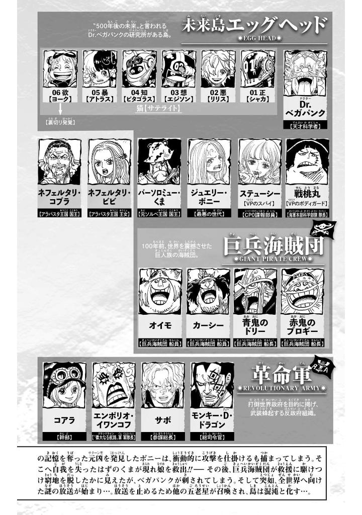 one piece 110 - Ảnh 6