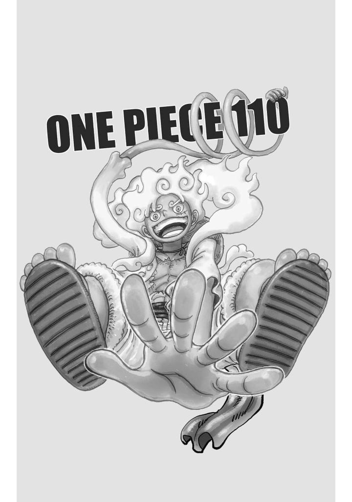 one piece 110 - Ảnh 9