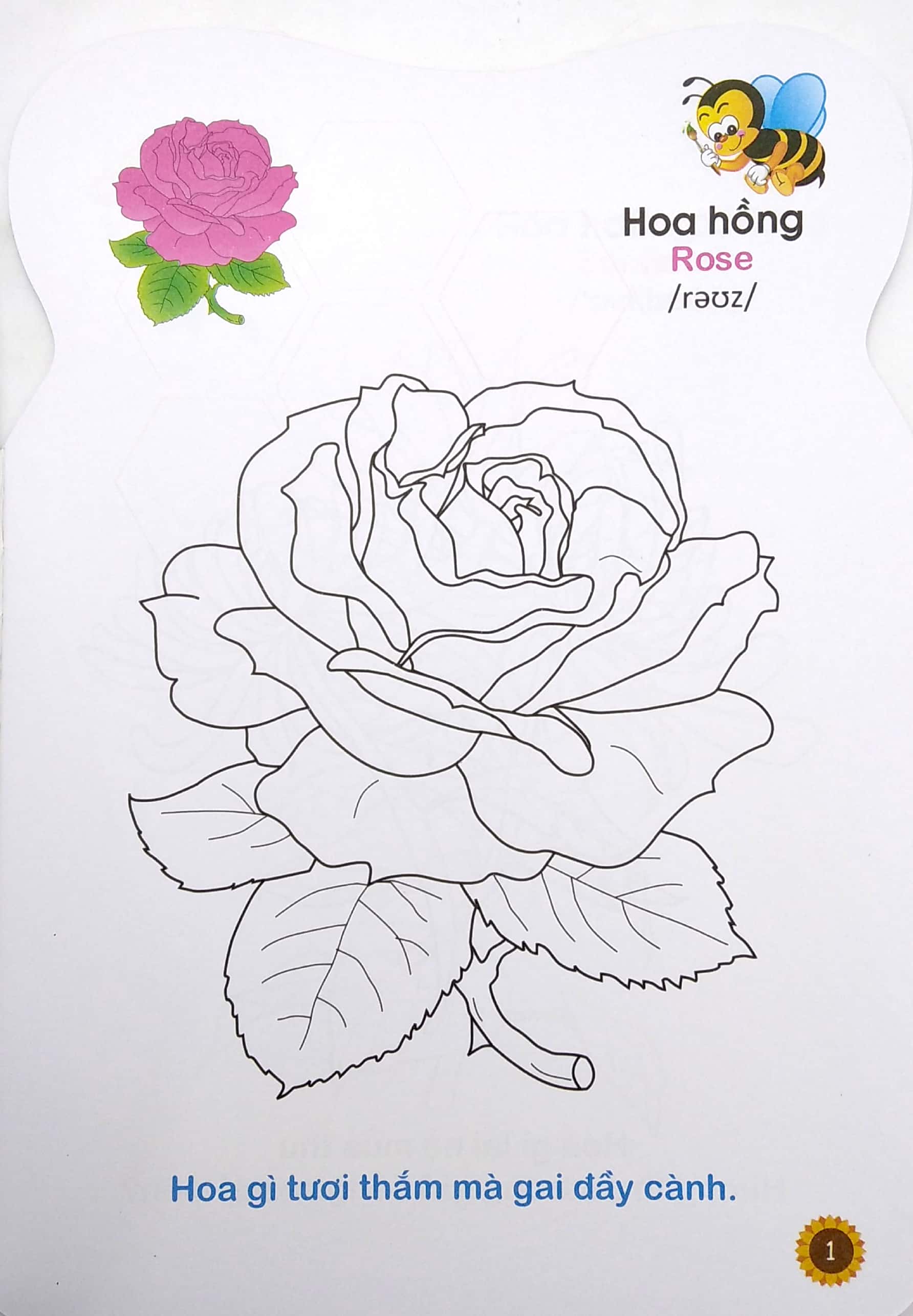 ong con chăm chỉ - tô màu các loài hoa, quả - Ảnh 3