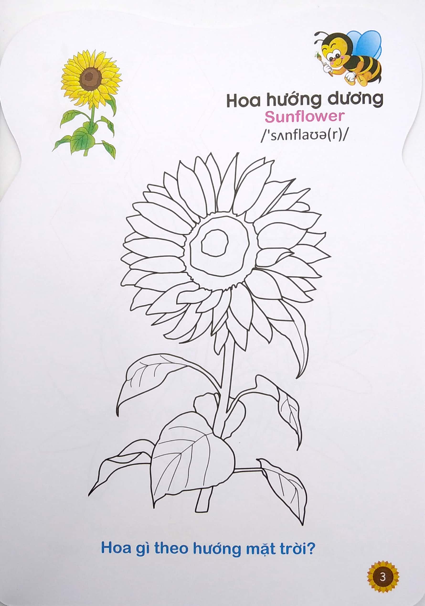 ong con chăm chỉ - tô màu các loài hoa, quả - Ảnh 5