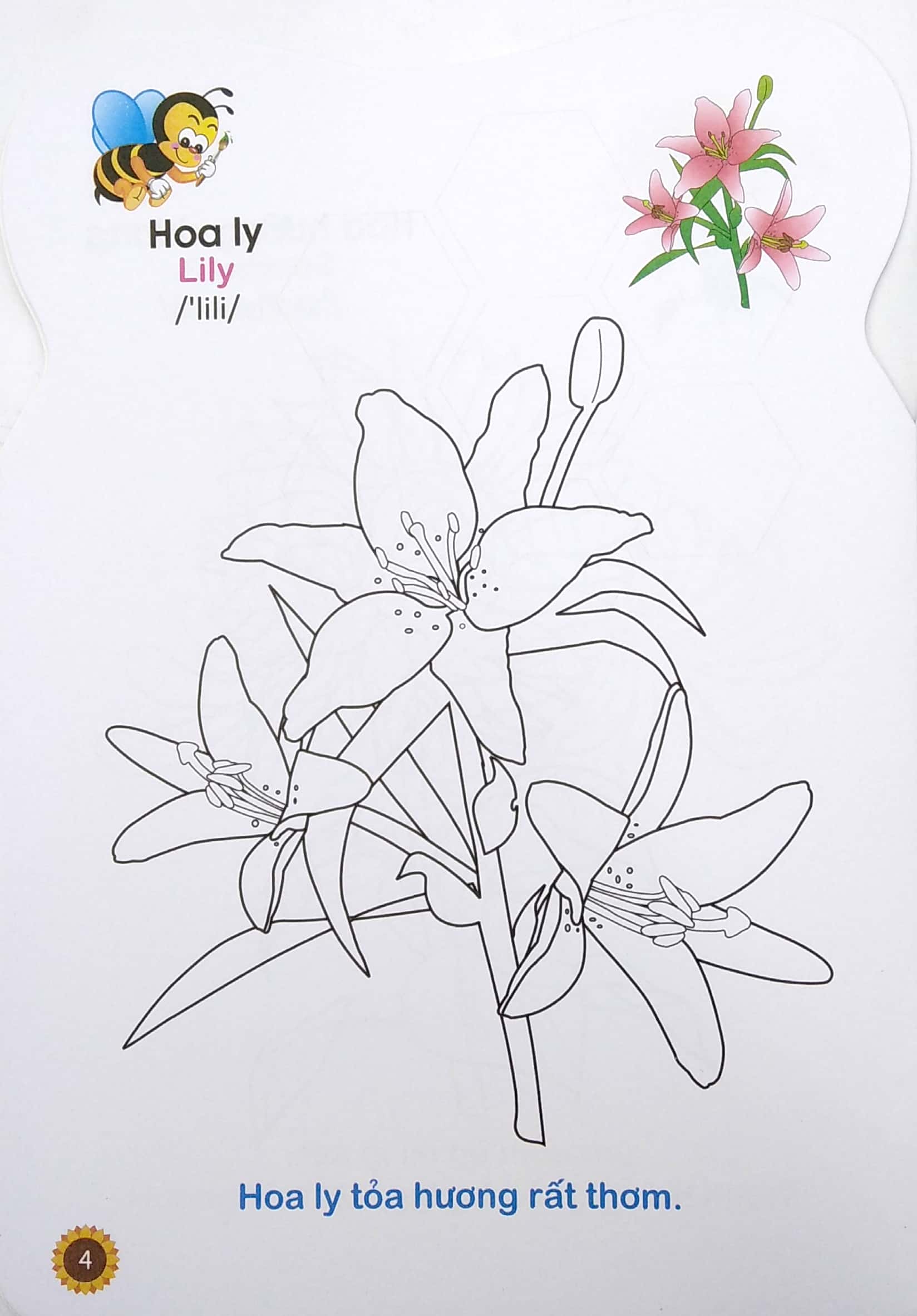 ong con chăm chỉ - tô màu các loài hoa, quả - Ảnh 6