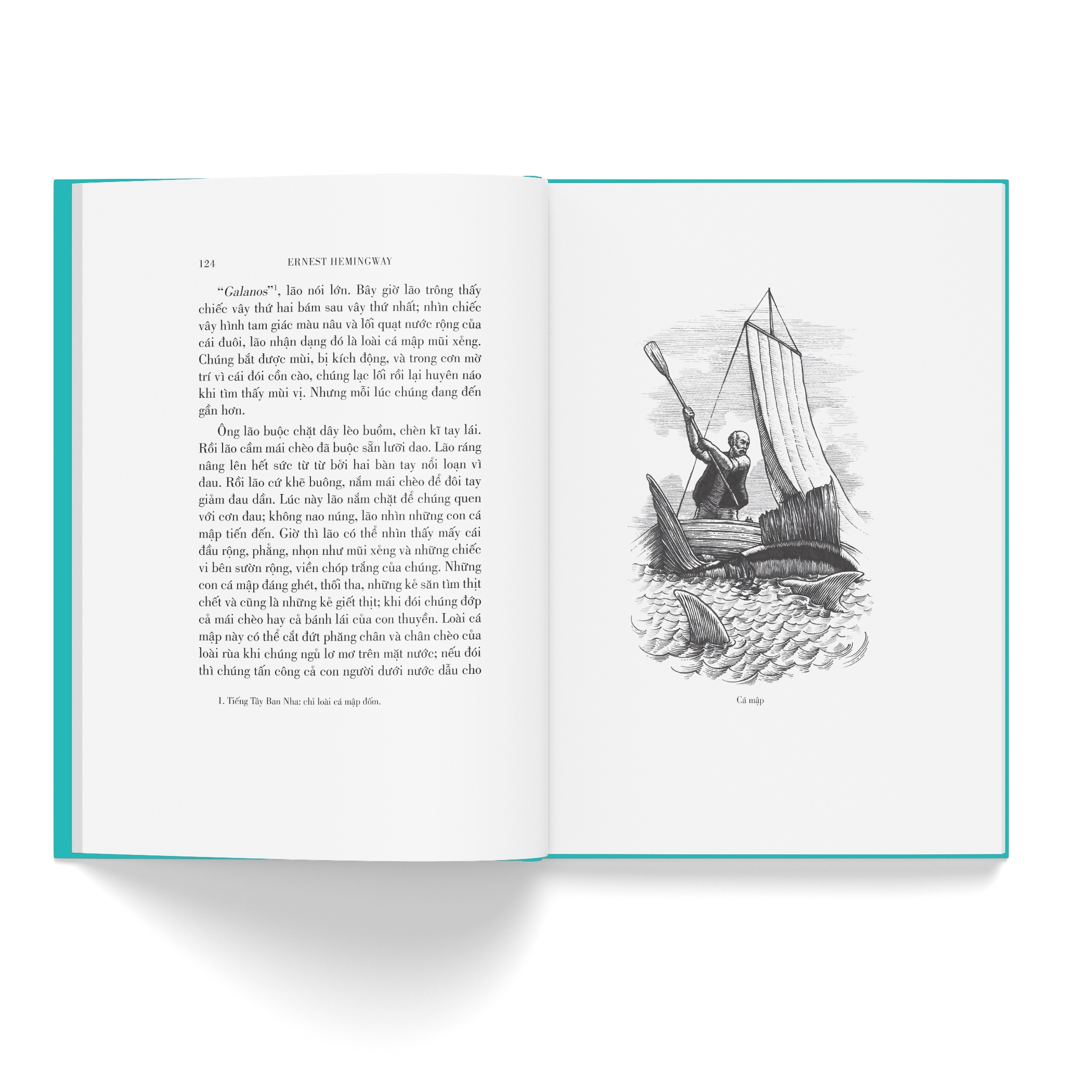 ông già và biển cả - Ảnh 11