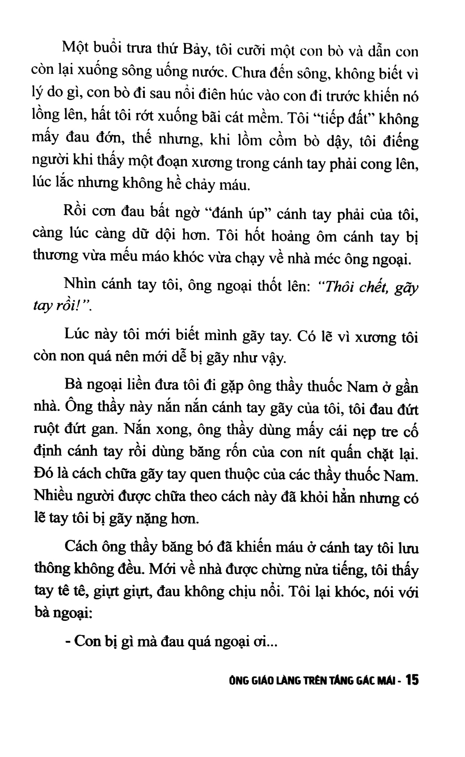 ông giáo làng trên tầng gác mái (tái bản 2024) - Ảnh 6