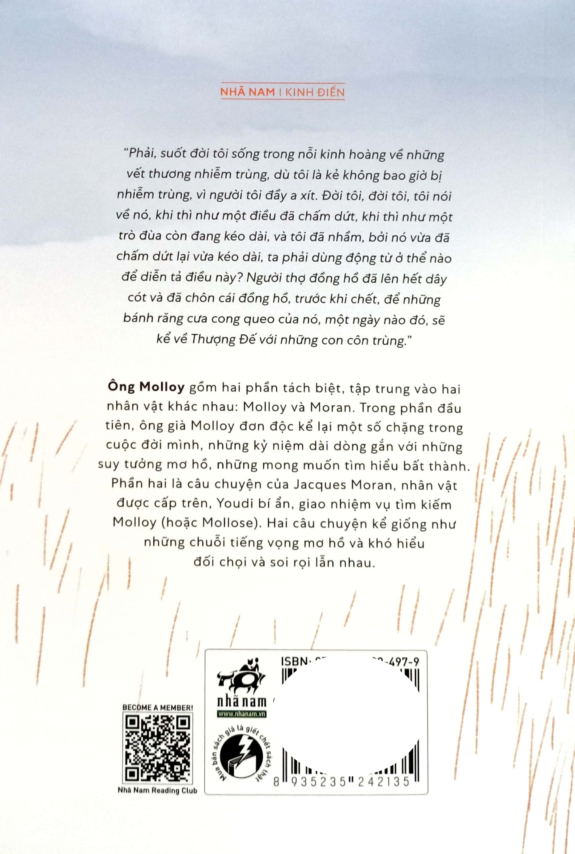 ông molloy - Ảnh 7