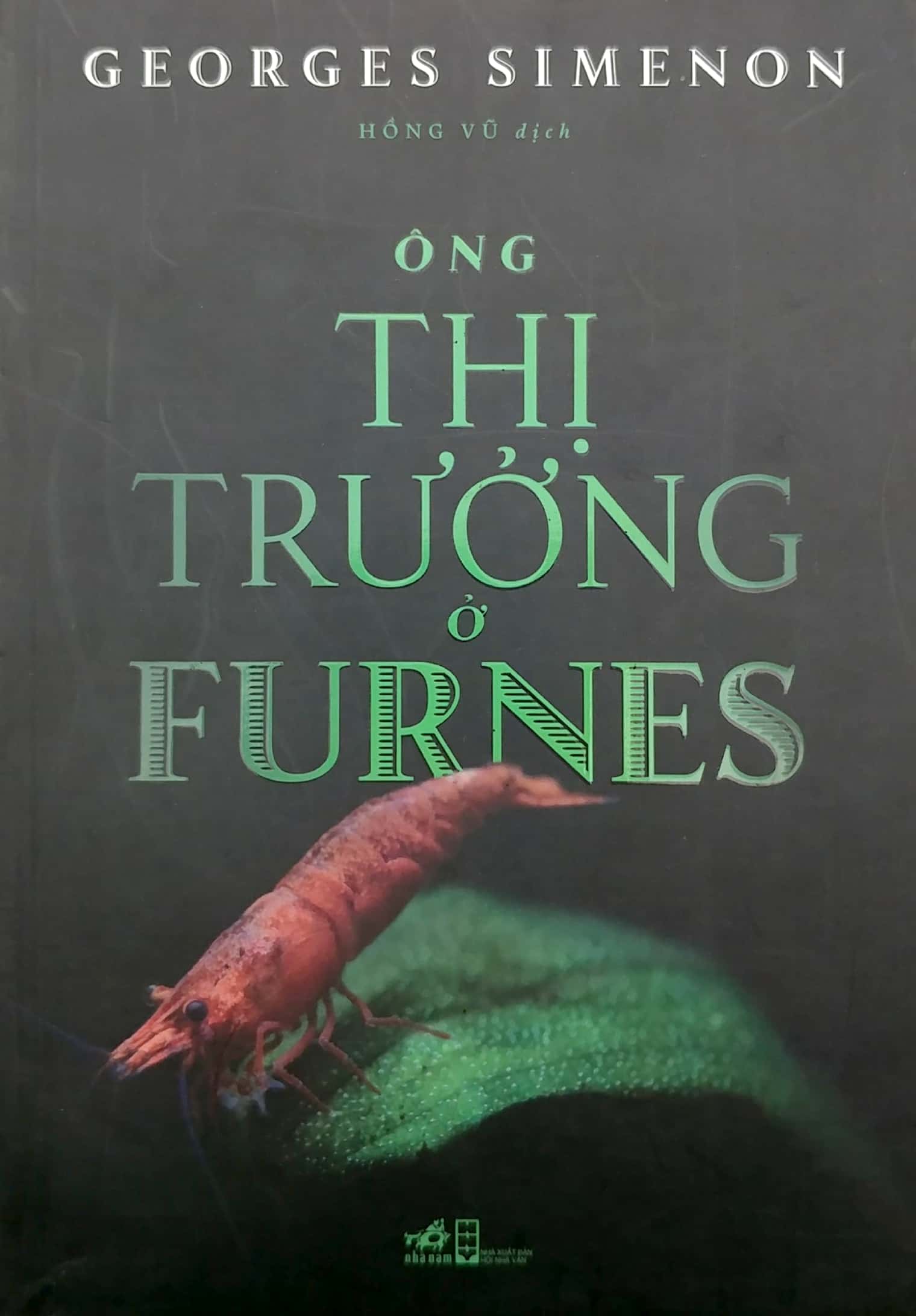 ông thị trưởng ở furnes - Ảnh 2