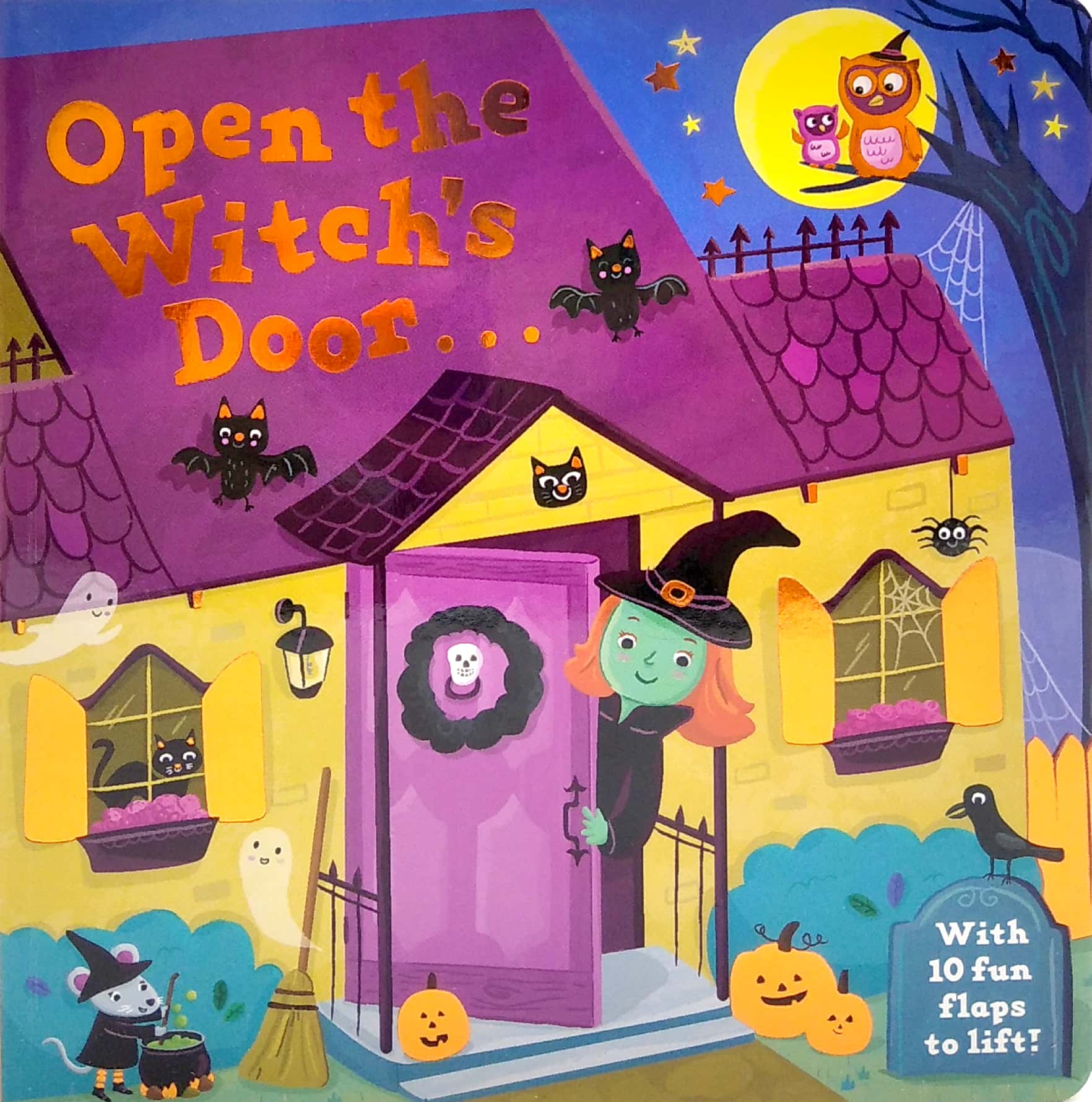 open the witch's door: a halloween lift-the-flap book - Ảnh 2
