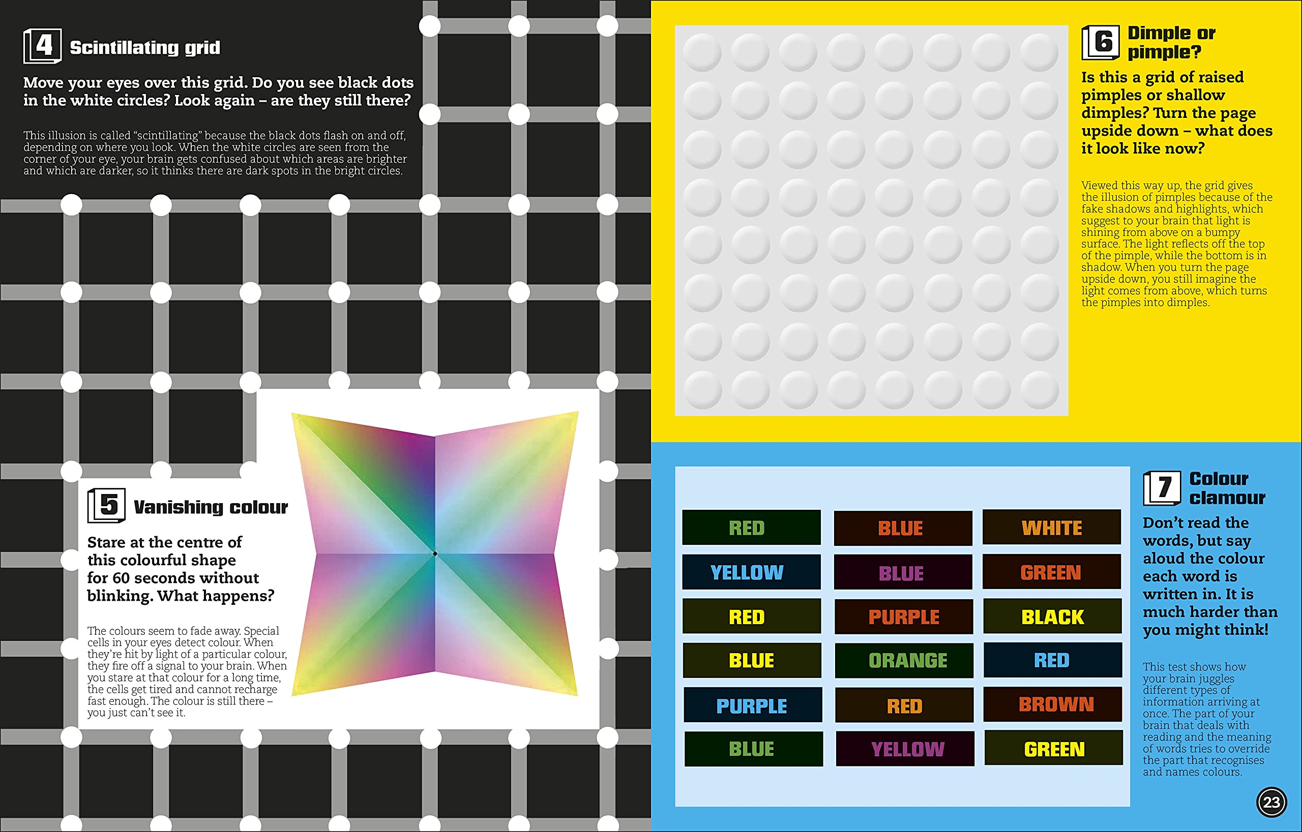 optical illusions: incredible pop-up visual magic! - Ảnh 5