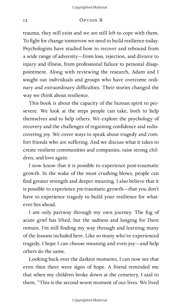 option b: facing adversity, building resilience, and finding joy - Ảnh 11