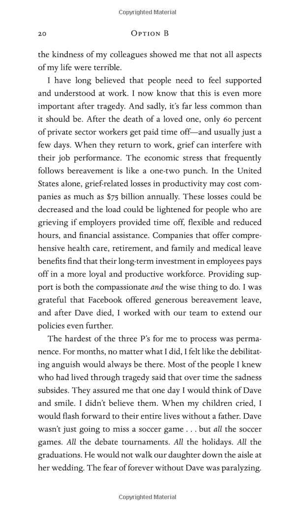 option b: facing adversity, building resilience, and finding joy - Ảnh 17