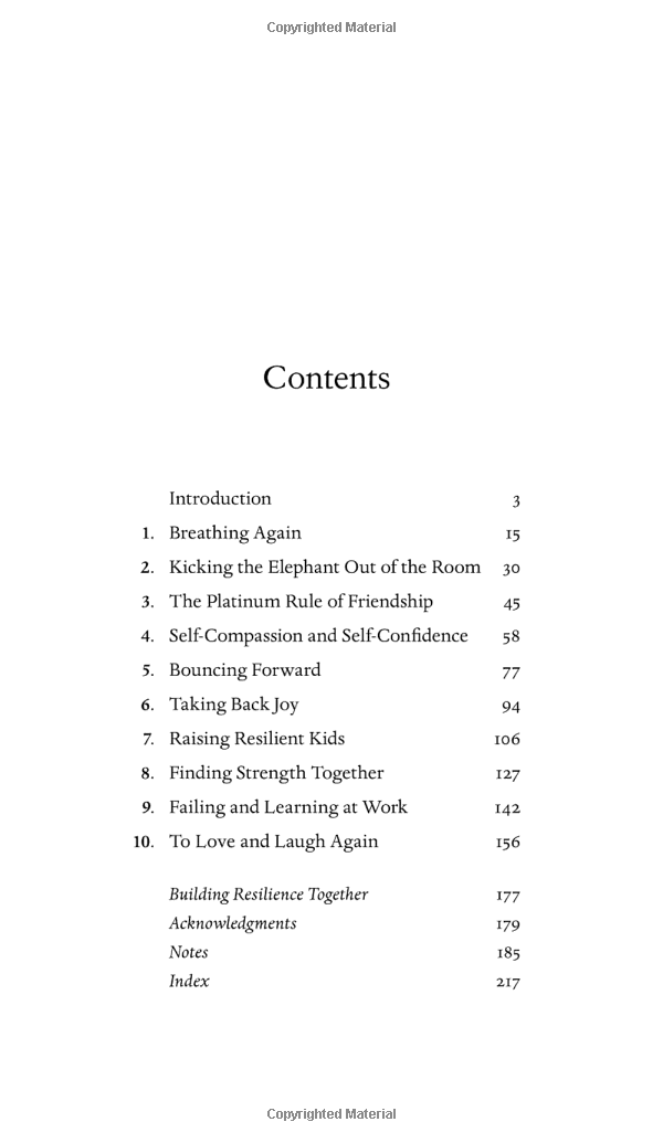 option b: facing adversity, building resilience, and finding joy - Ảnh 2