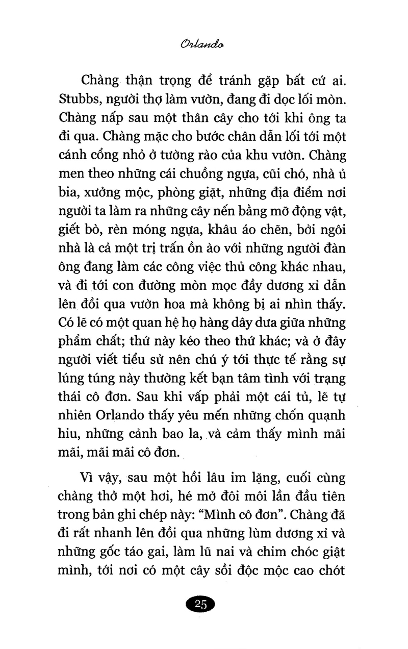 orlando - Ảnh 10