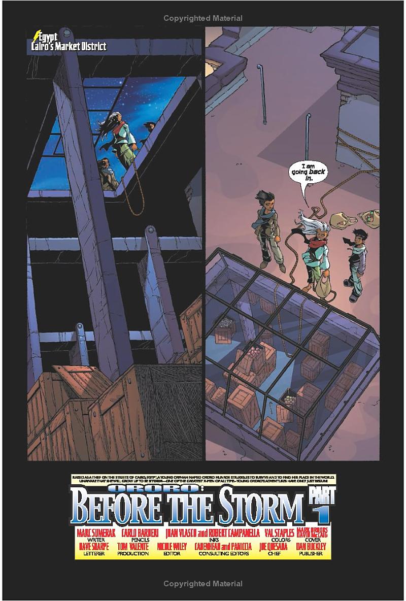 ororo: before the storm - Ảnh 9