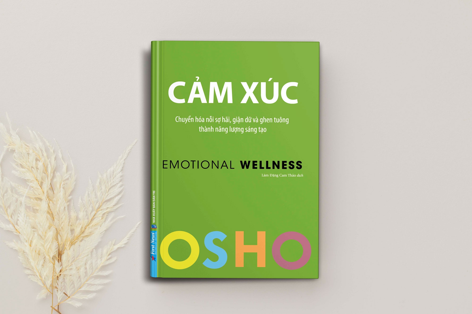 osho - cảm xúc - chuyển hóa nỗi sợ hãi, giận dữ và ghen tuông thành năng lượng sáng tạo - Ảnh 3