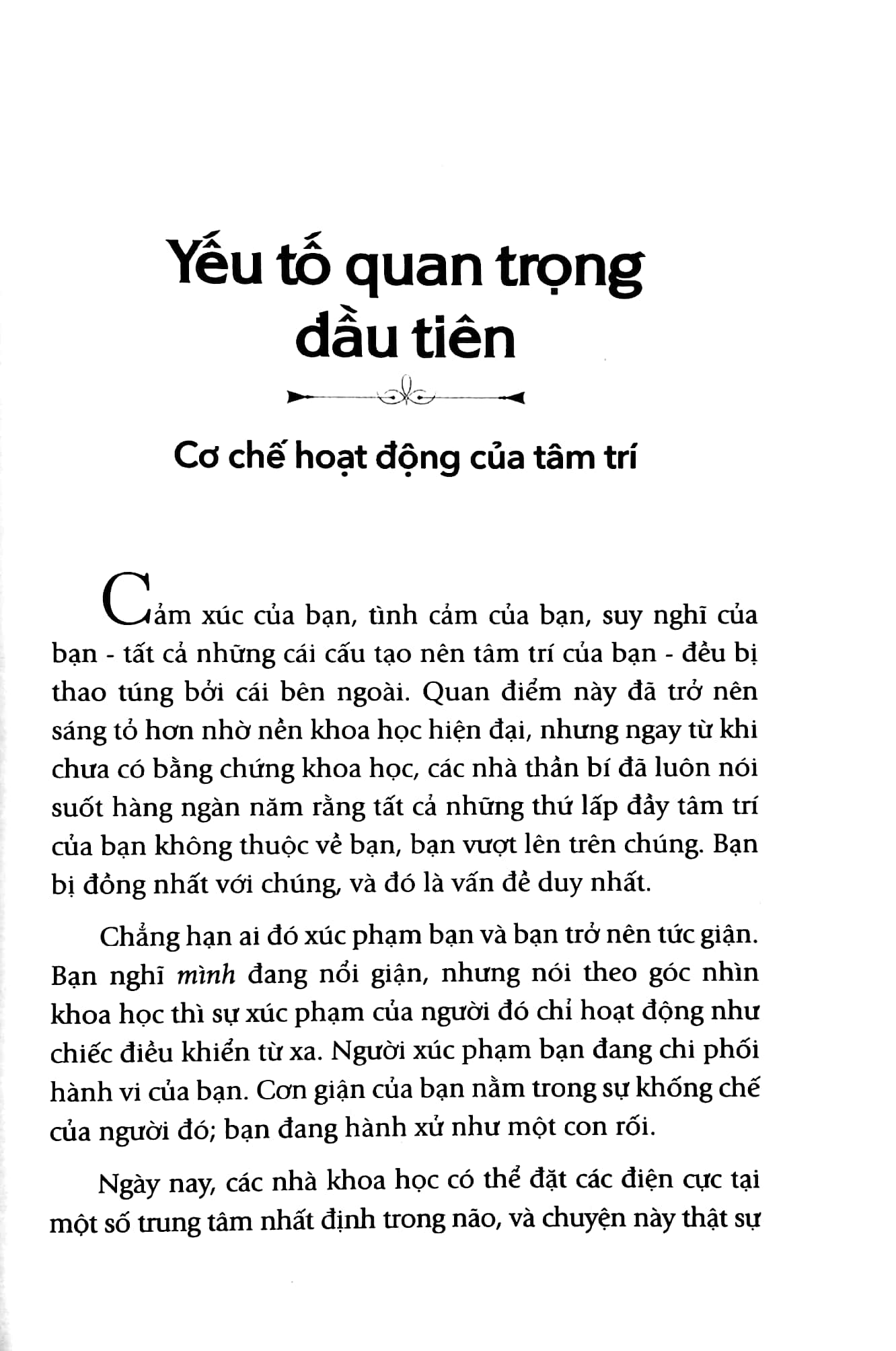 osho - cảm xúc - chuyển hóa nỗi sợ hãi, giận dữ và ghen tuông thành năng lượng sáng tạo - Ảnh 8