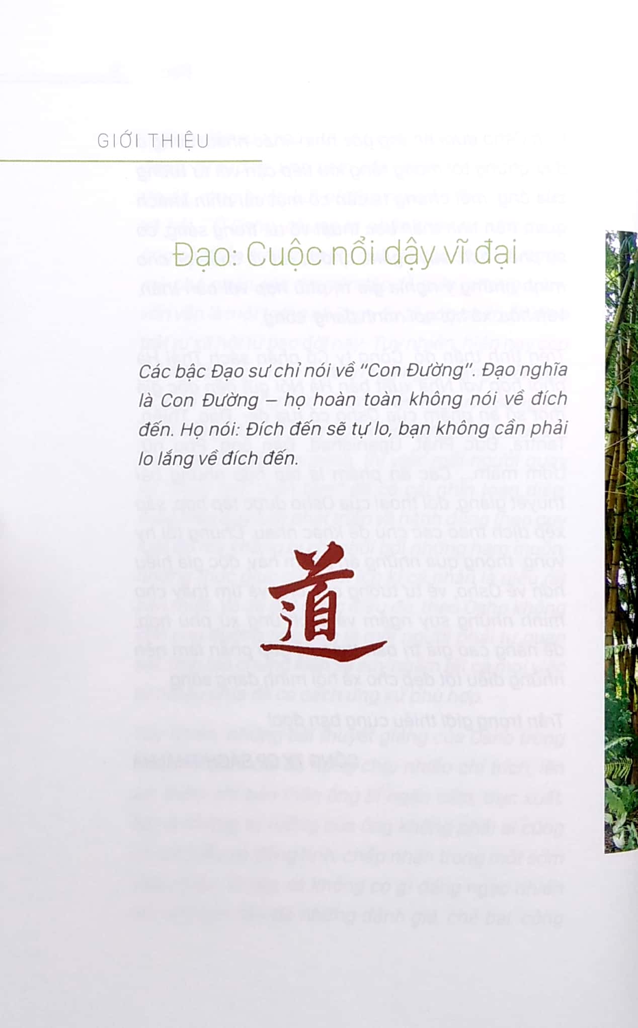osho - đạo (tái bản 2022) - Ảnh 4