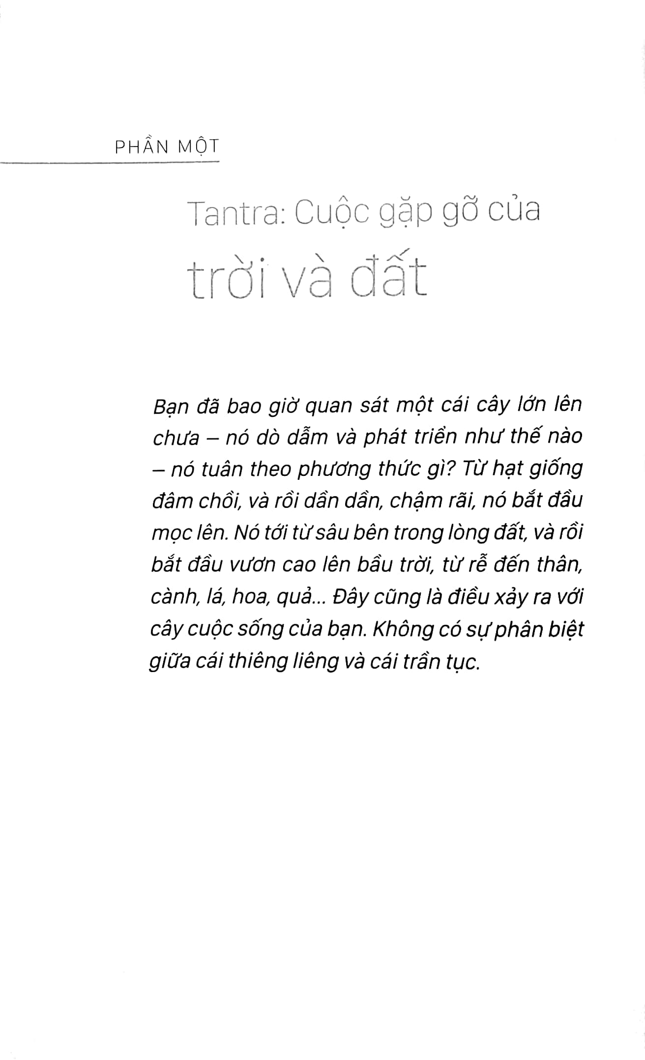 osho - tantra: con đường của sự chấp nhận (tái bản 2022) - Ảnh 4