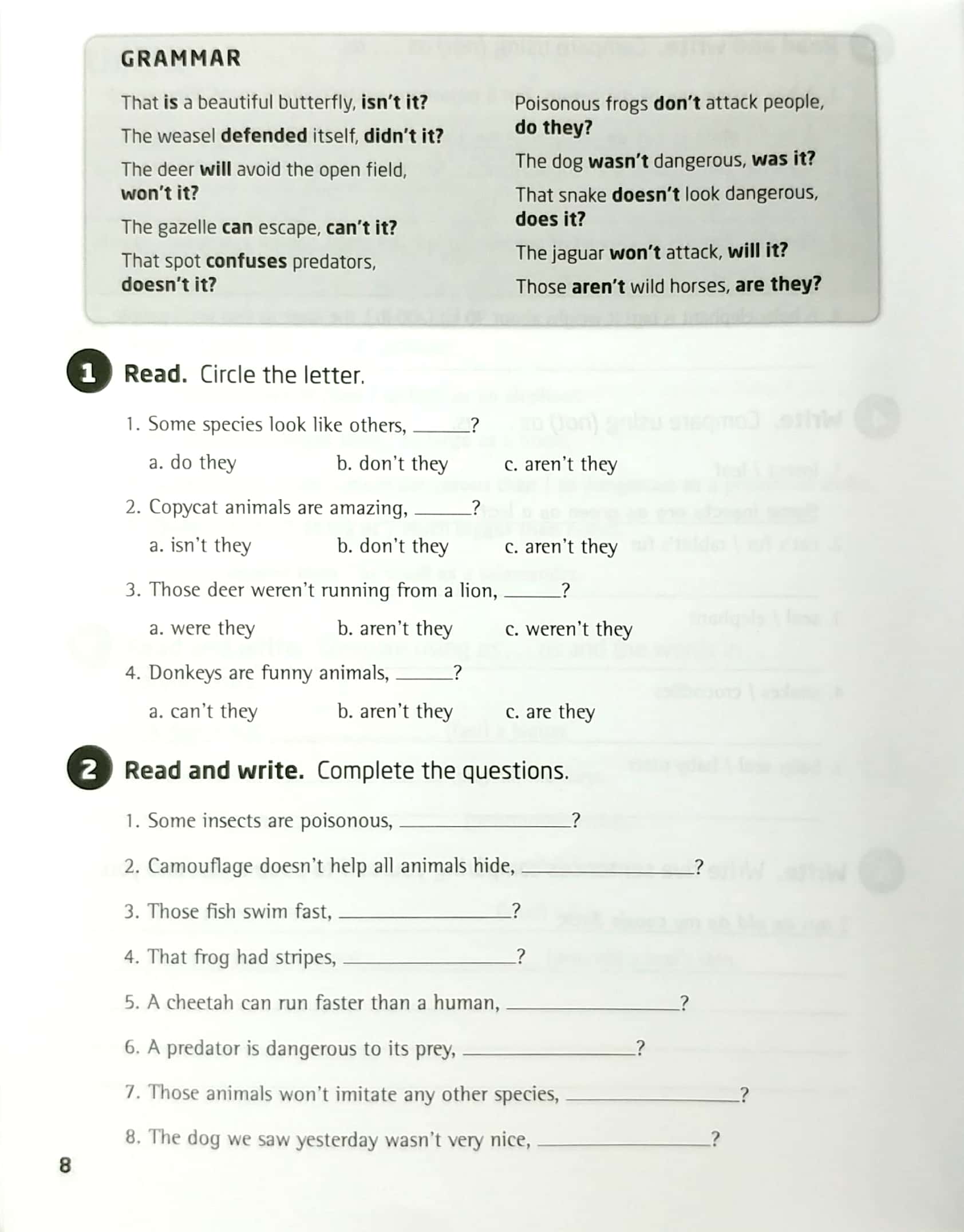 our world ame 5 grammar workbook - Ảnh 10
