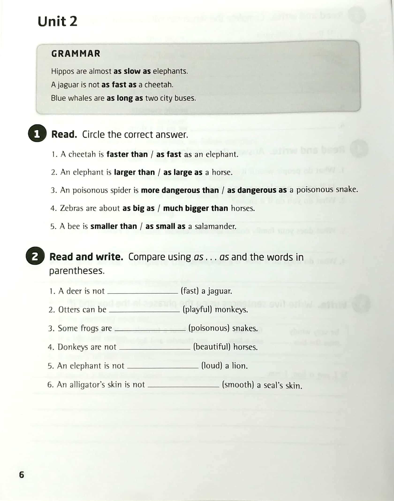 our world ame 5 grammar workbook - Ảnh 8