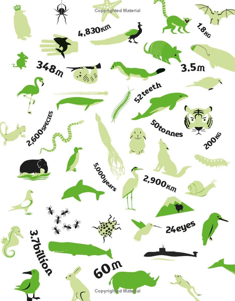 our world in numbers animals - Ảnh 5