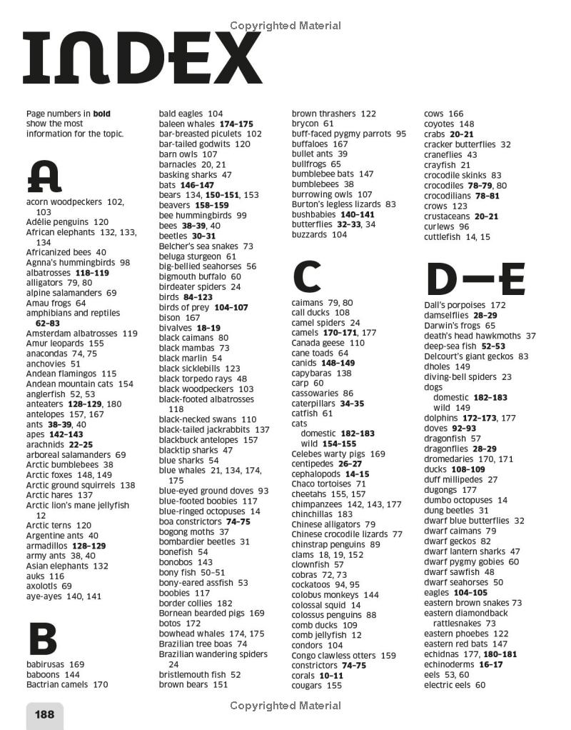 our world in numbers animals - Ảnh 8