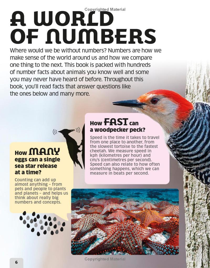our world in numbers animals - Ảnh 9