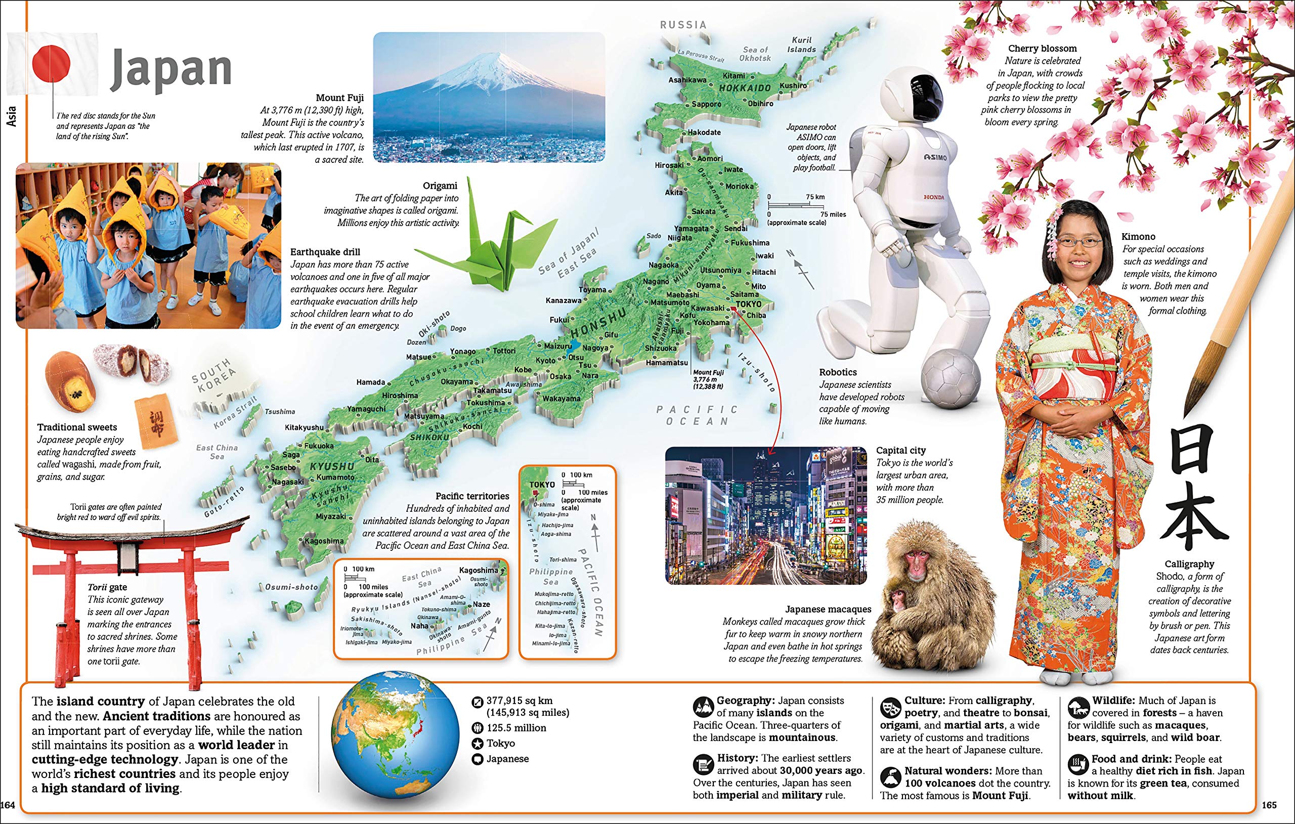 our world in pictures: countries, cultures, people & places: a visual encyclopedia of the world - Ảnh 10