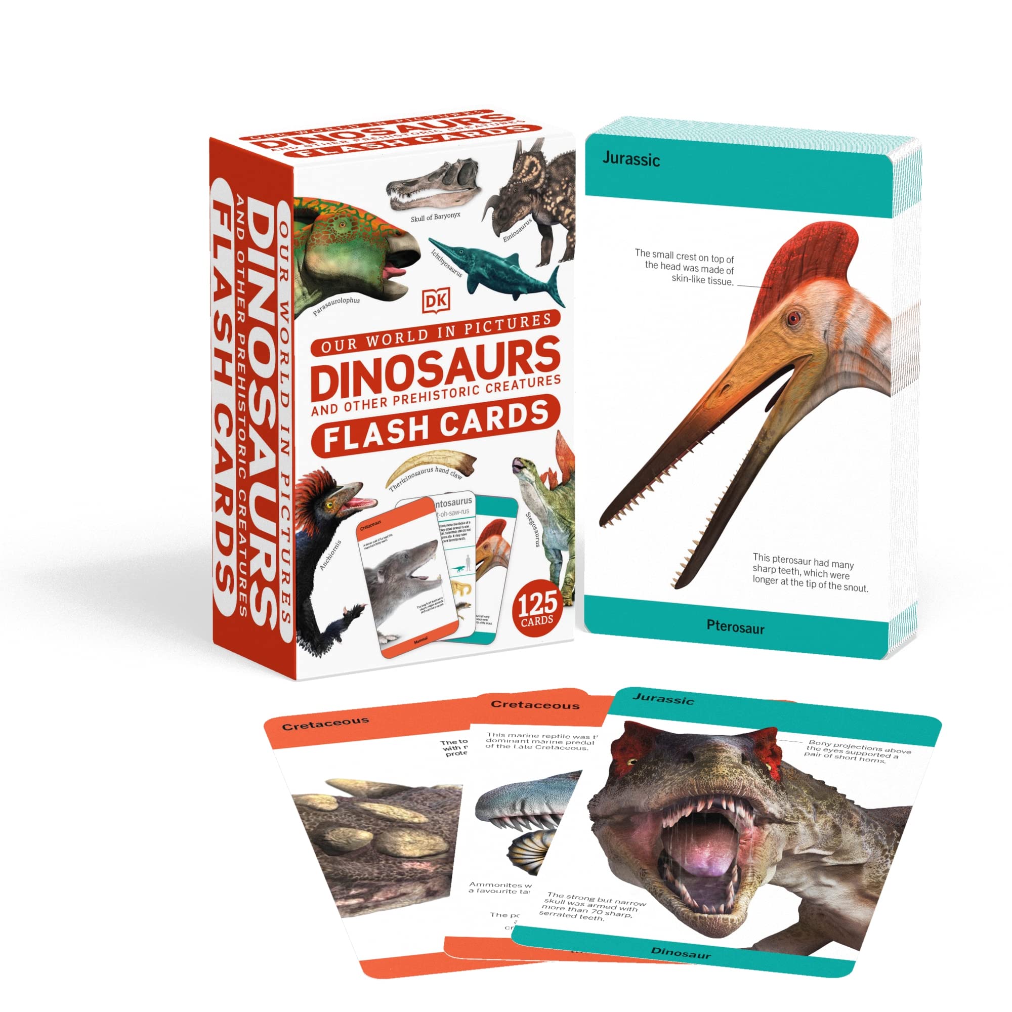 our world in pictures - dinosaurs and other prehistoric creatures flash cards - Ảnh 2
