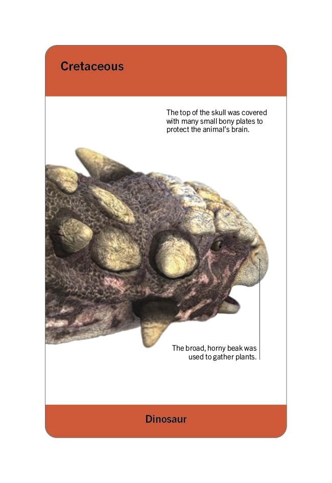 our world in pictures - dinosaurs and other prehistoric creatures flash cards - Ảnh 5