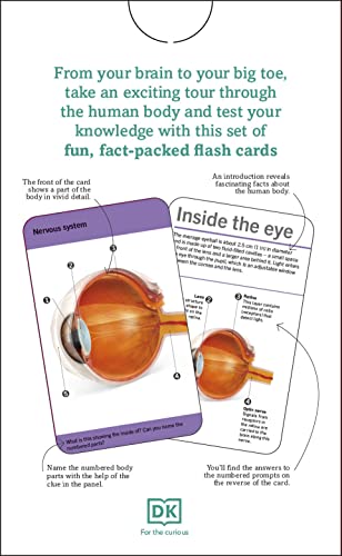 our world in pictures - human body flash cards - Ảnh 5