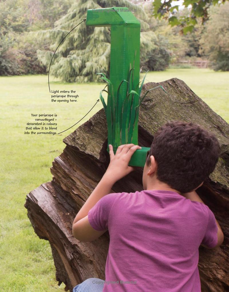 outdoor activity lab - Ảnh 12