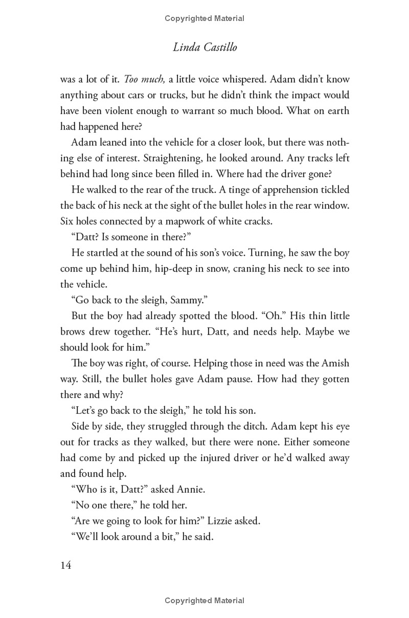 outsider: a novel of suspense - Ảnh 10