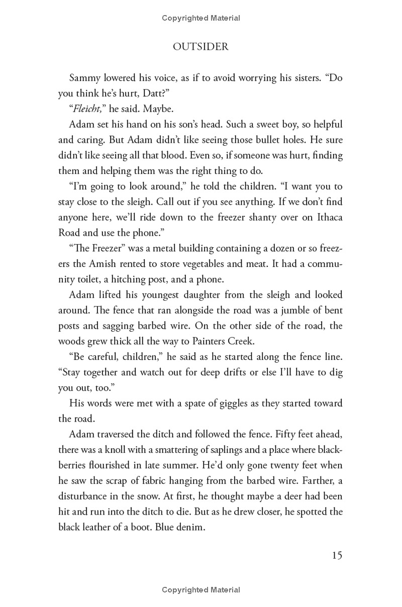 outsider: a novel of suspense - Ảnh 11