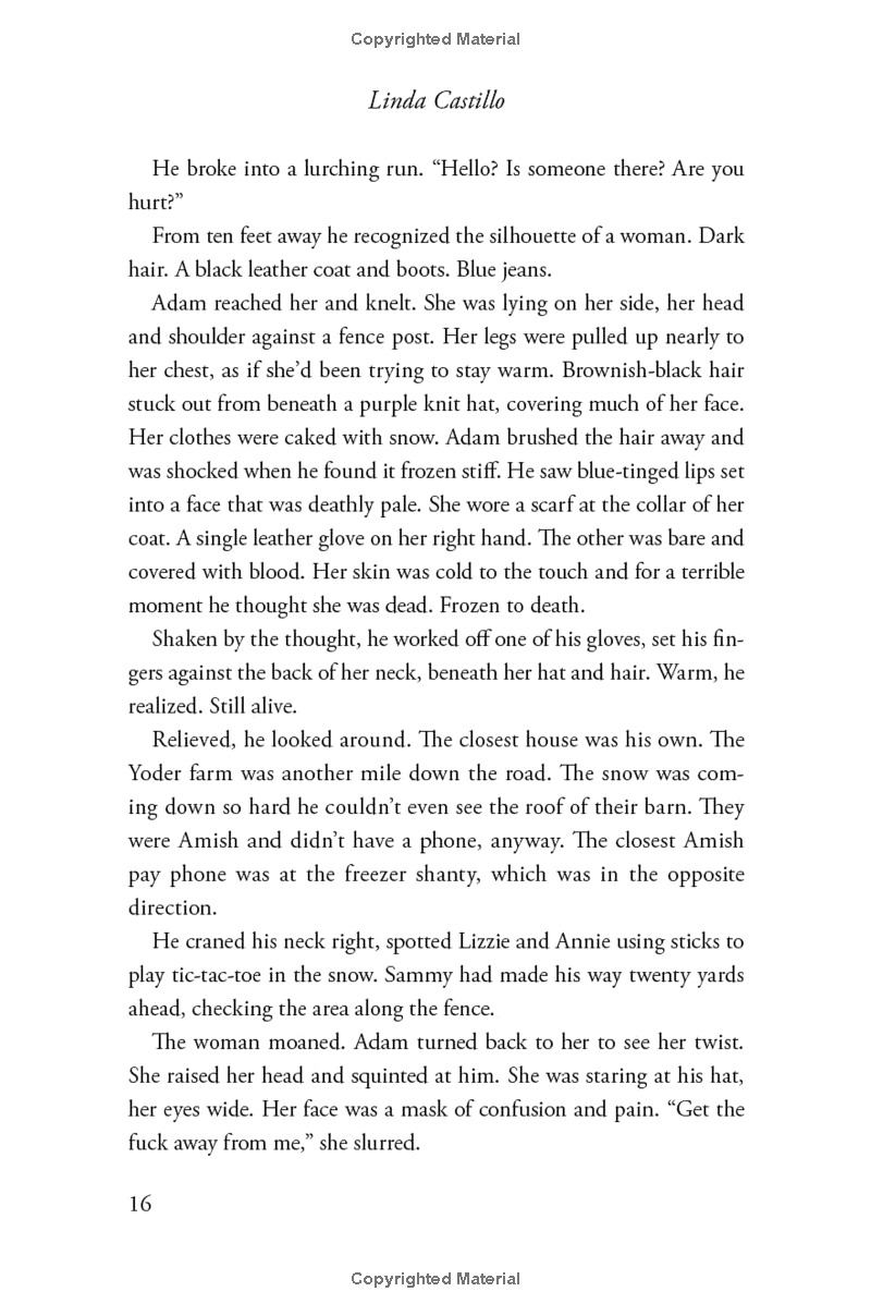 outsider: a novel of suspense - Ảnh 12