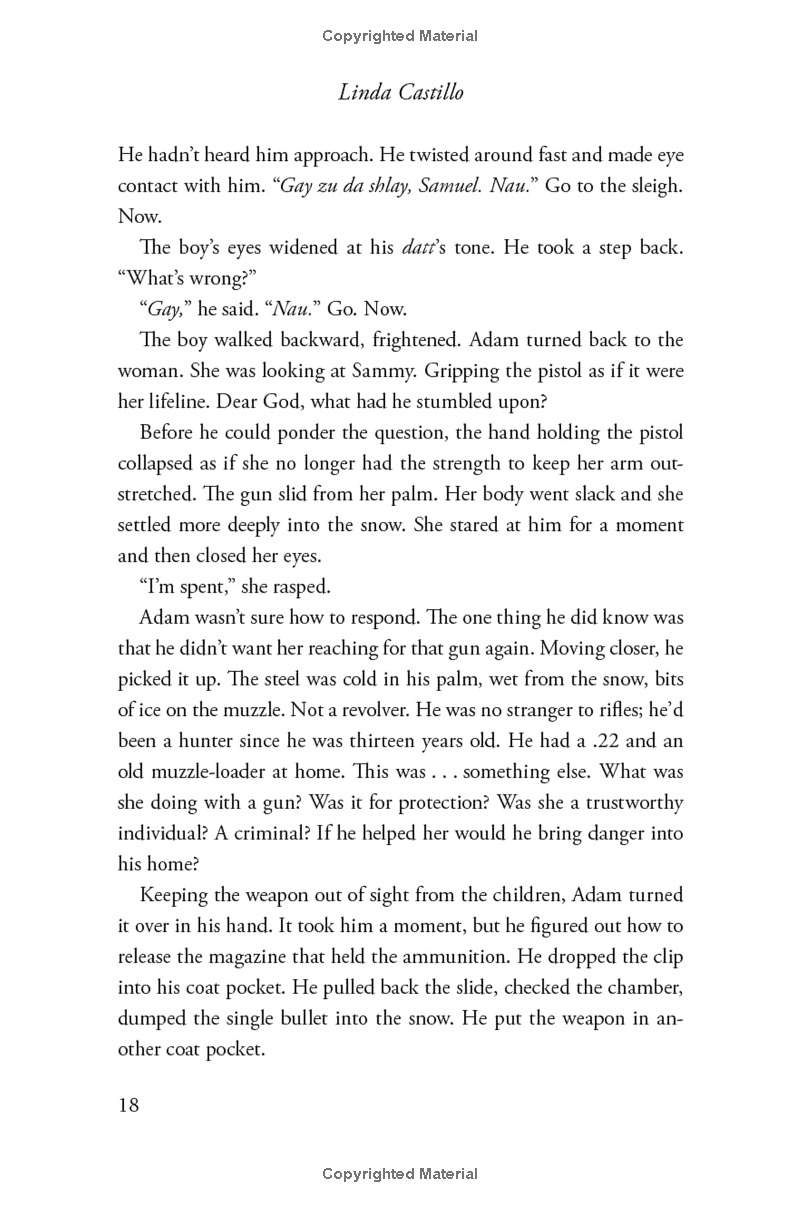 outsider: a novel of suspense - Ảnh 14