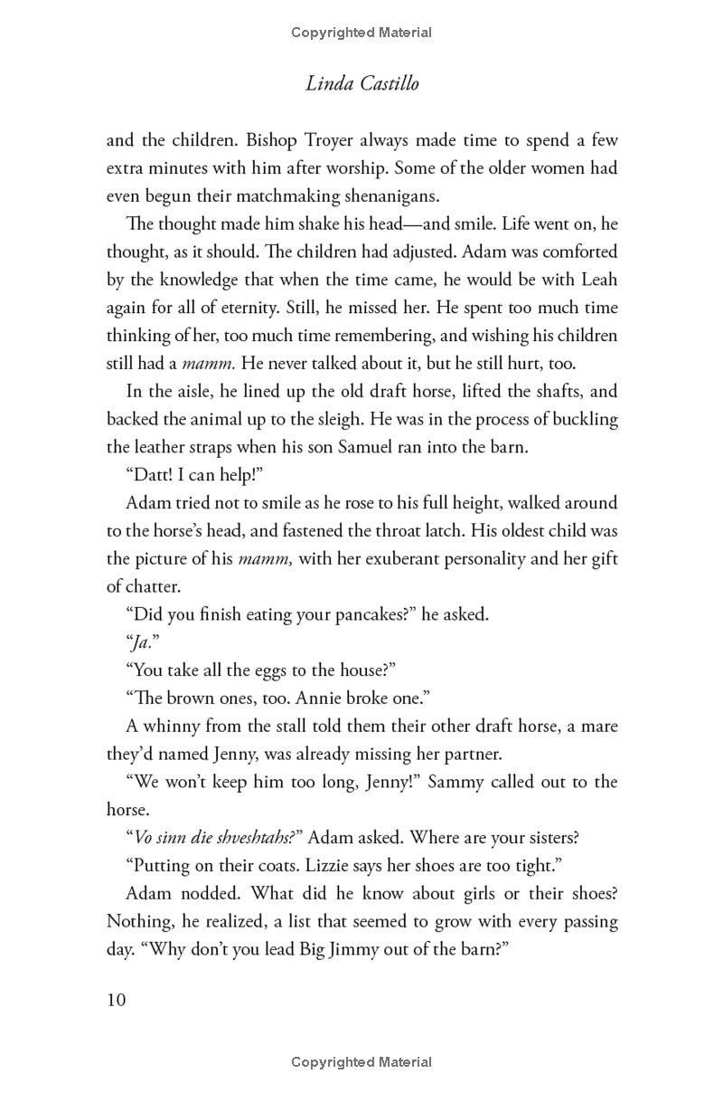 outsider: a novel of suspense - Ảnh 6